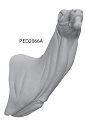PED2066A